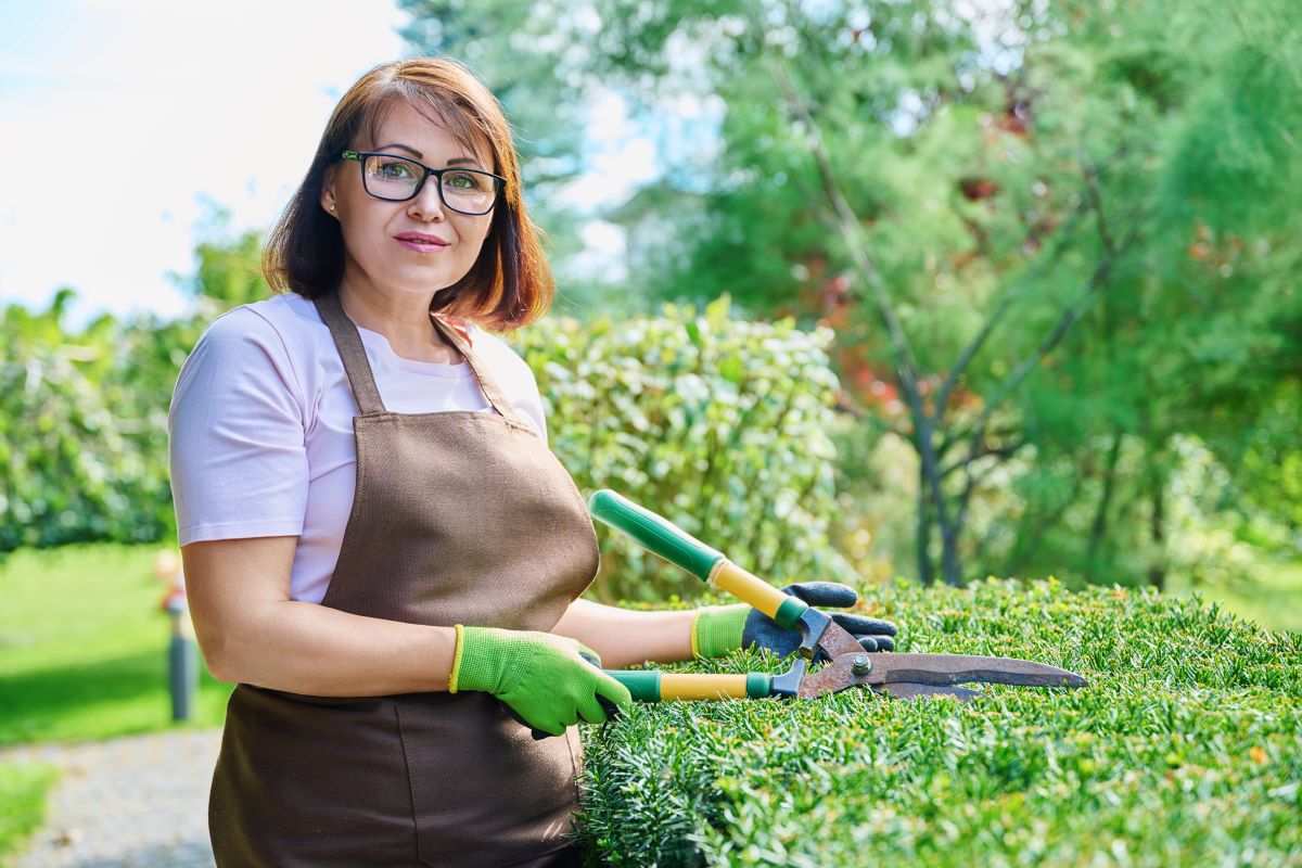 Gartenpflege durchs Jahr: Saisonkalender für Anfänger