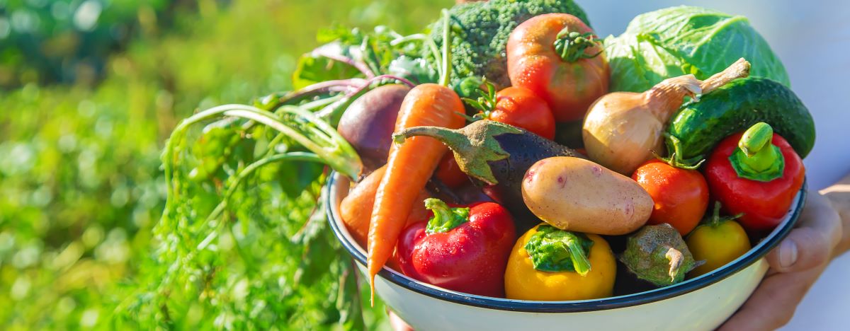 Saisonkalender Obst Gemüse: Wann hat was Saison?